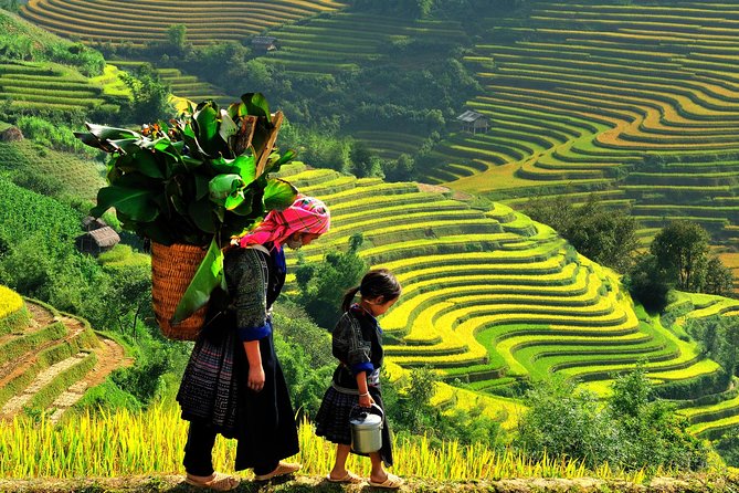 Sapa vietnam
