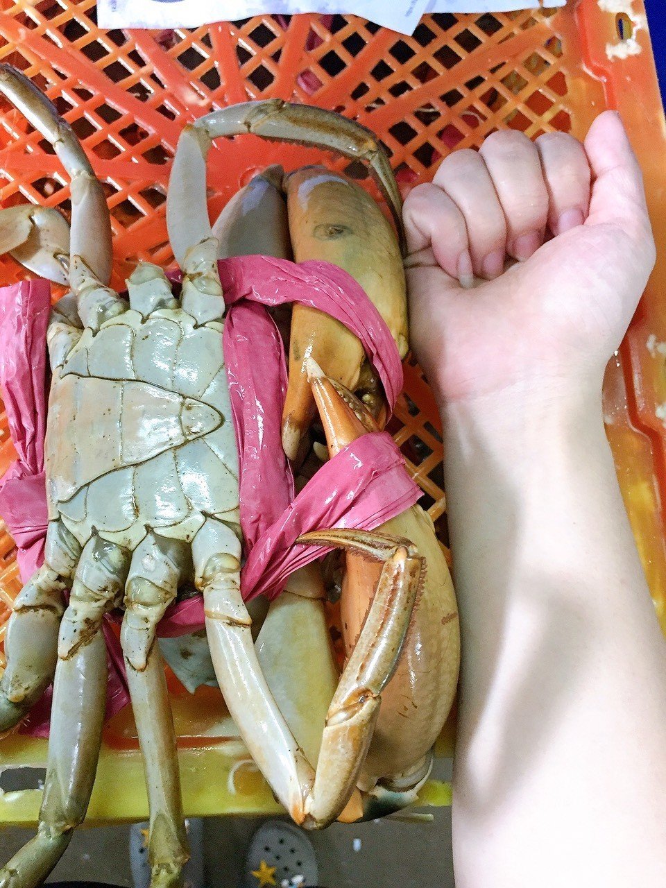 Meaty crab
