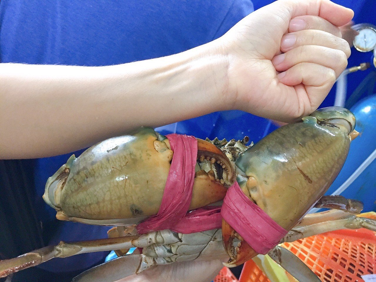 Meaty crab