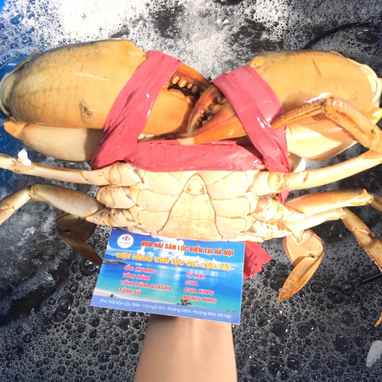 Meaty crab