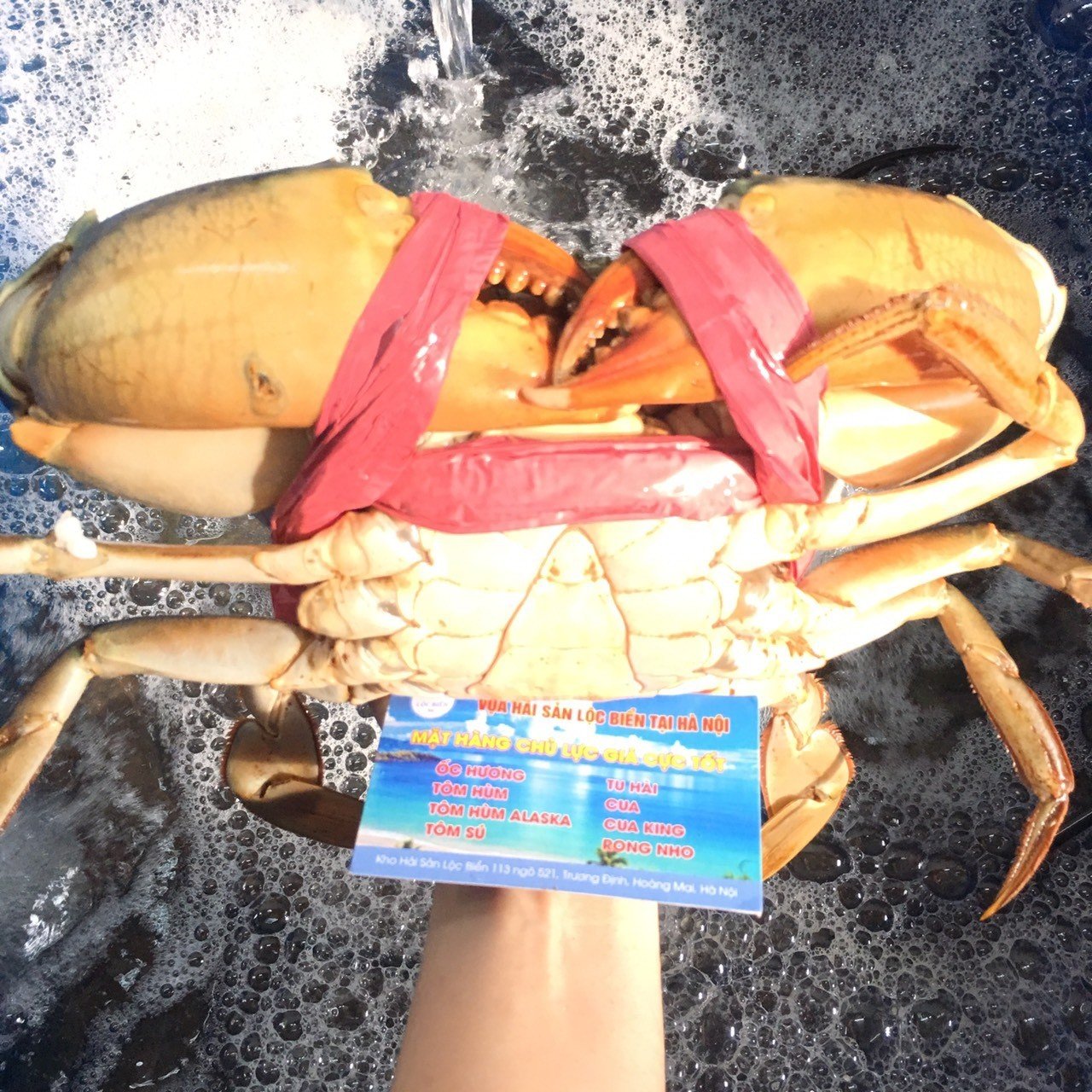 Meaty crab