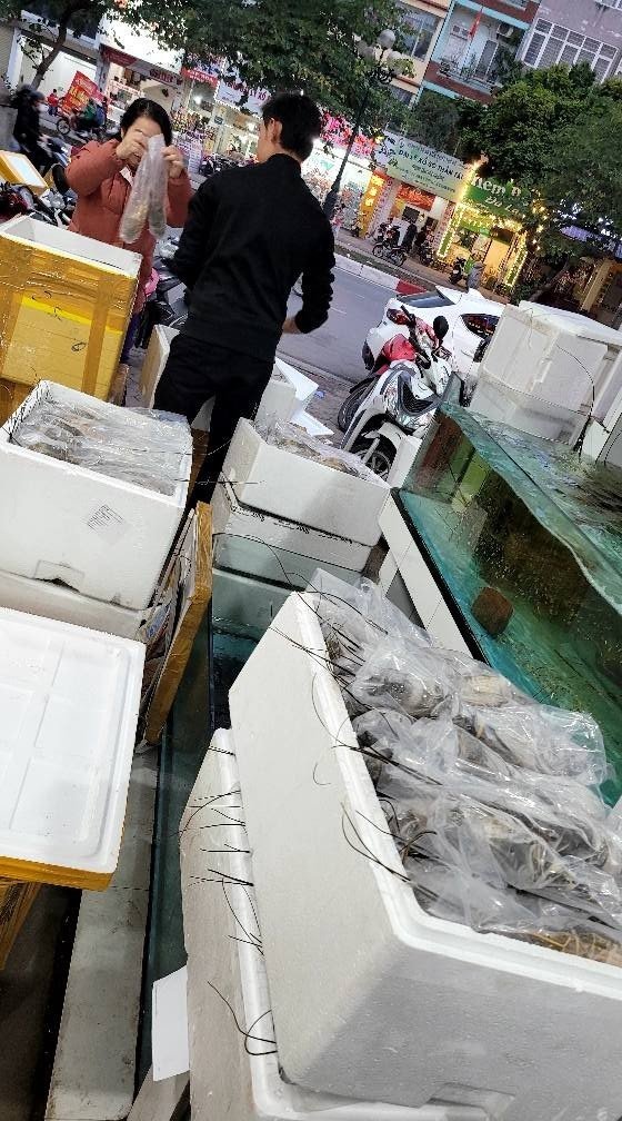 Frozen lobster