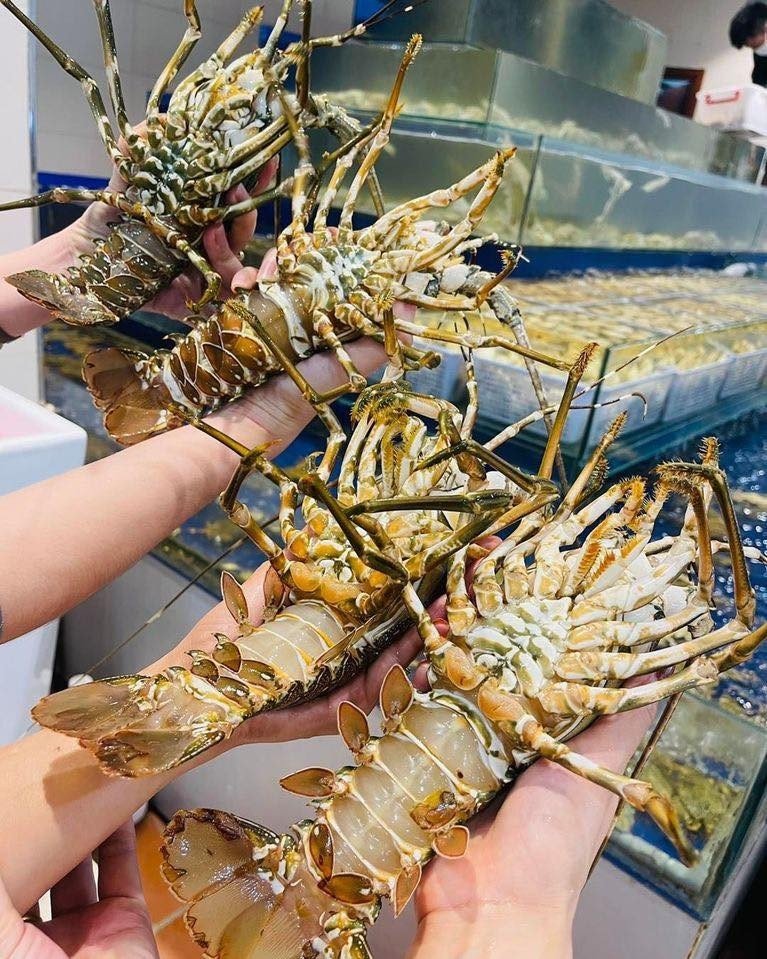 Fresh lobster