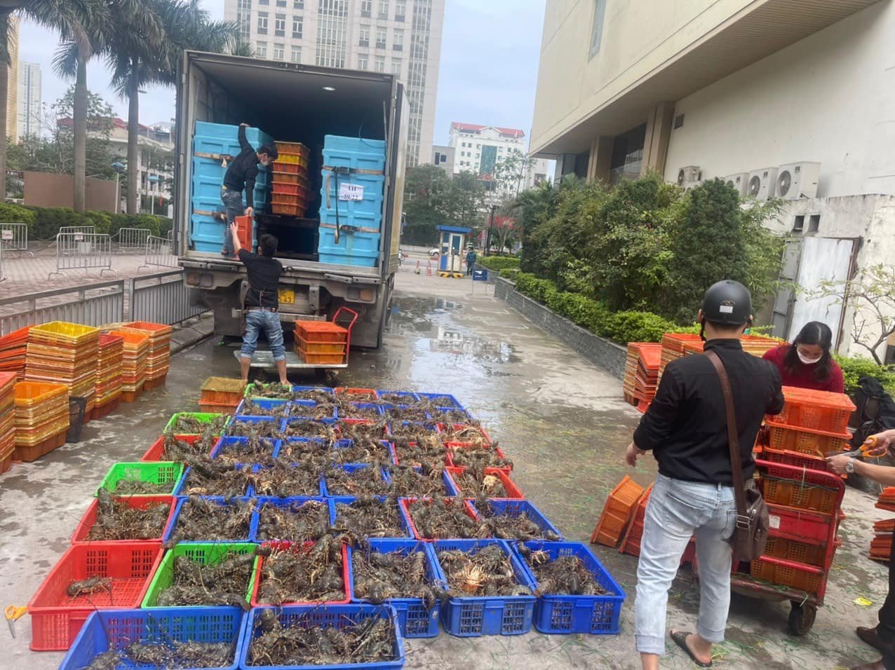 Fresh lobster