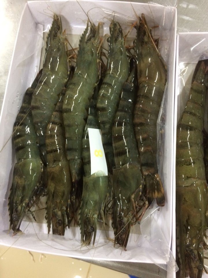 Frozen giant tiger prawns