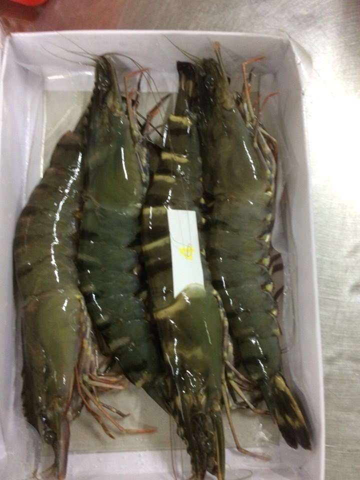 Frozen giant tiger prawns