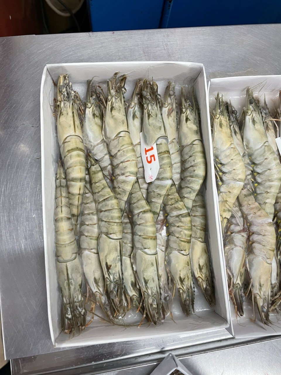 Frozen giant tiger prawns