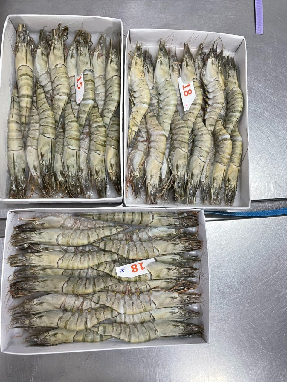 Frozen giant tiger prawns