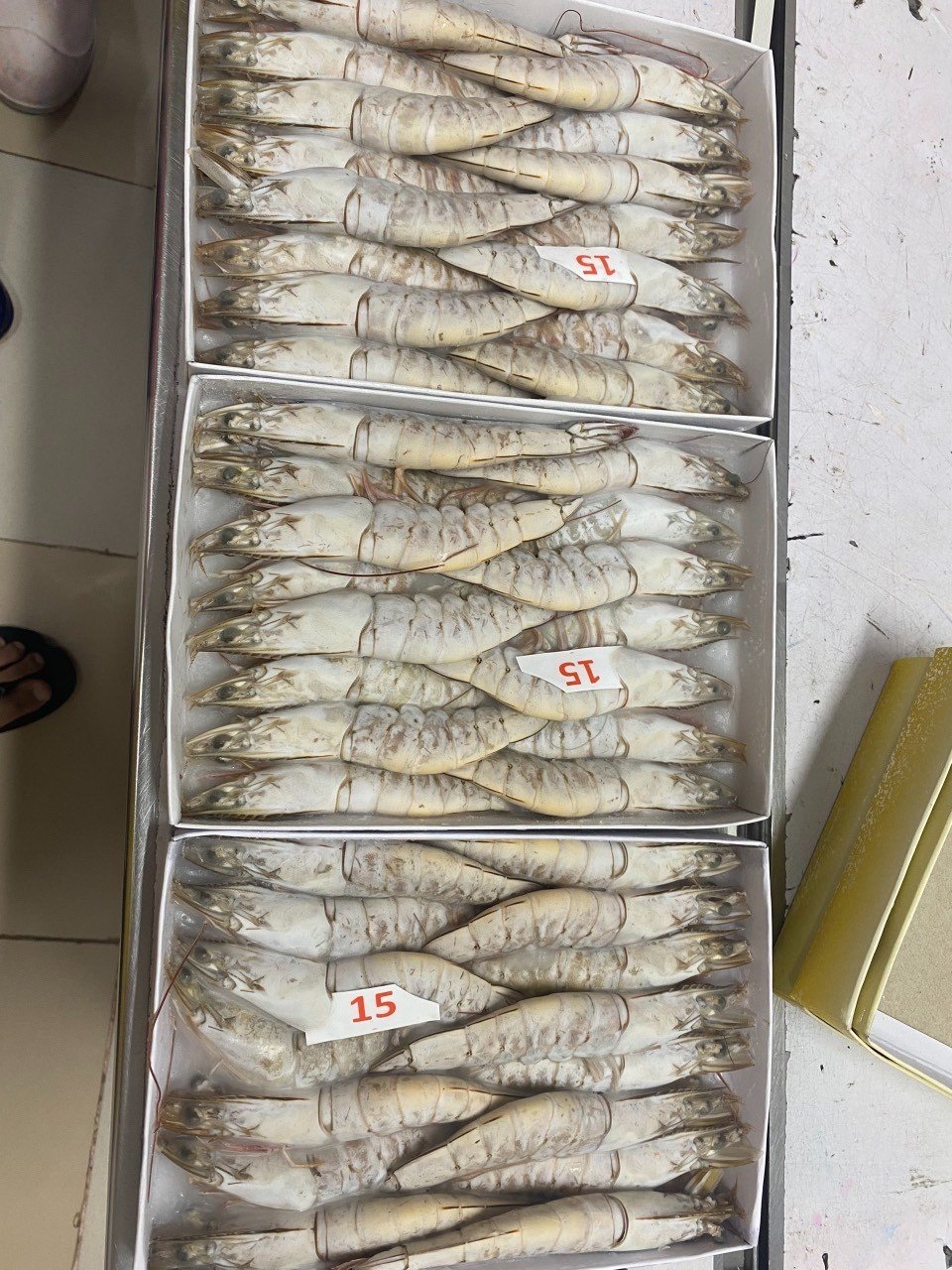 Frozen giant tiger prawns