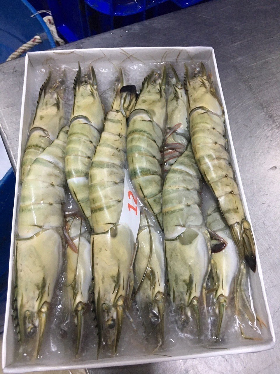 Frozen giant tiger prawns