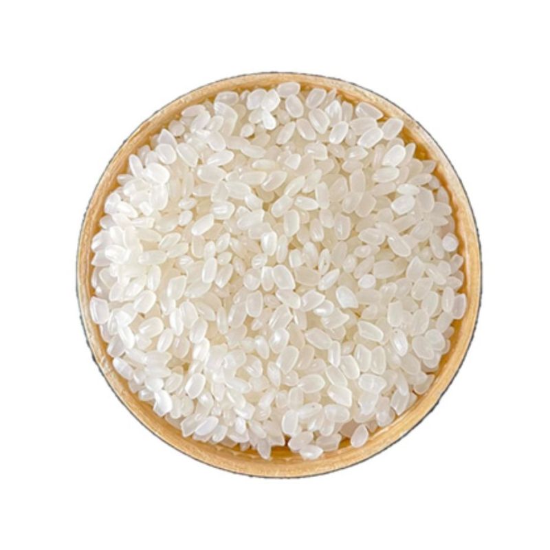 Japonica rice