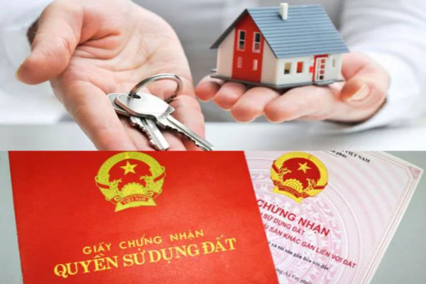 Land use rights certificate service