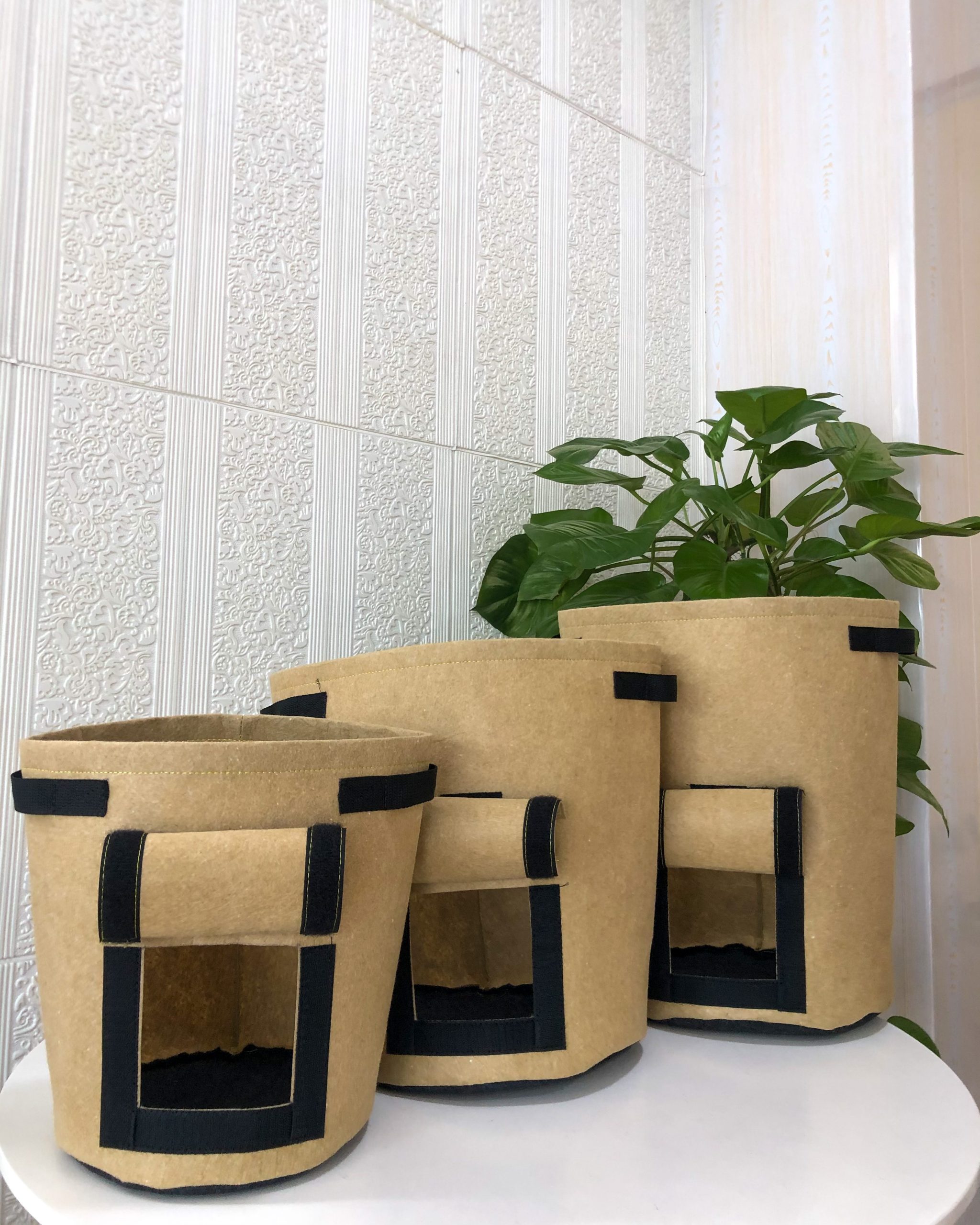 Nonwoven bag for growing plant
