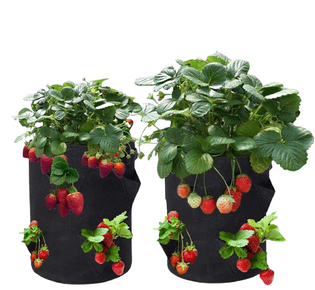 Nonwoven bag for growing plant