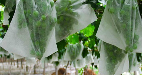 PP nonwoven fabric for wrapping fruits