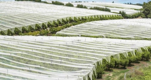 PP nonwoven fabric for gardening