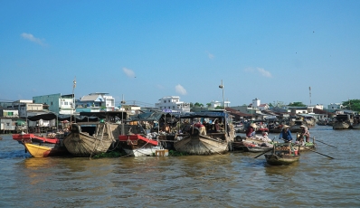 Mekong Delta Discovery