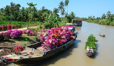Vietnam Insight Experience