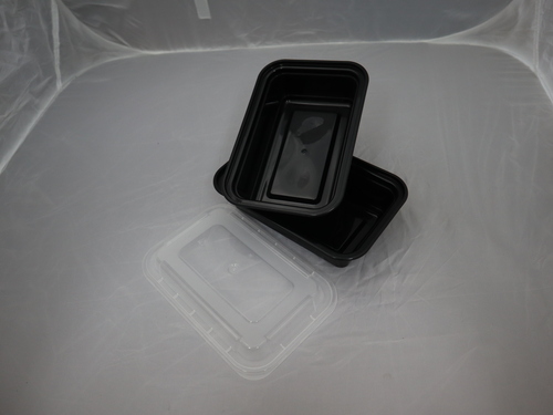 Plastic lunch box