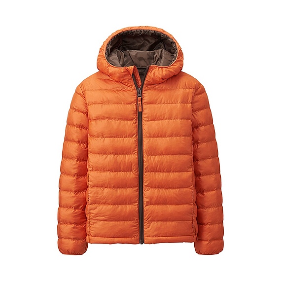 Women feather down jacket - short silhouette