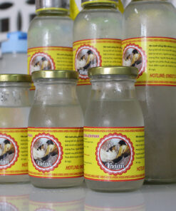 Fresh bird nest