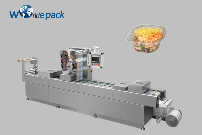 Vacuum Packing Machine