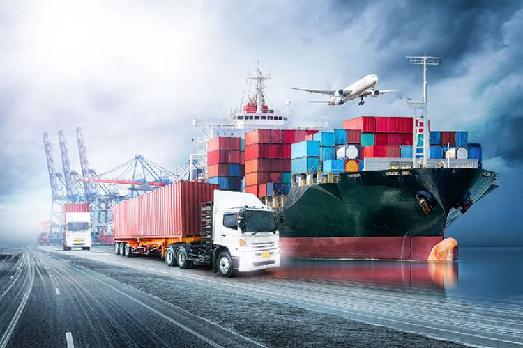 Import-Export Services