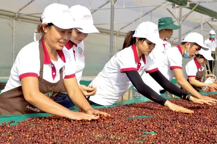 Quyet Tien coffee
