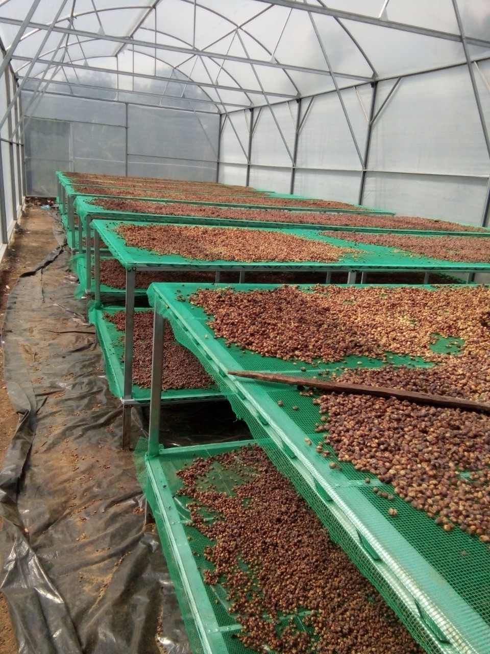Quyet Tien coffee