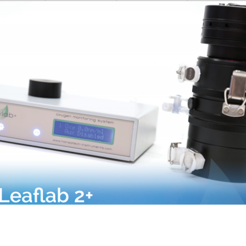 Gas-phase oxygen electrode system