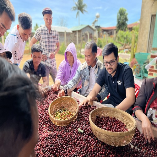 Coffee farm