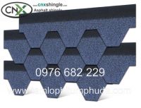 Bitumen tile villa