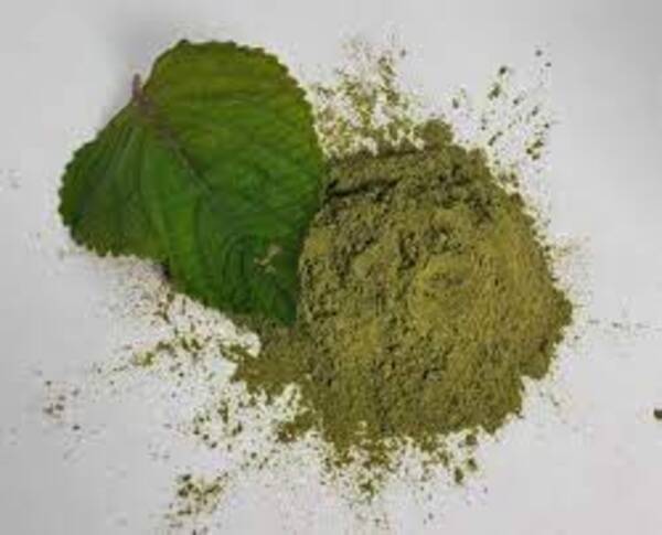 Shiso powder