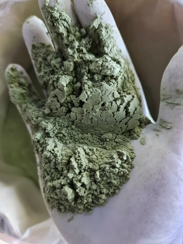 Andrographis paniculata powder