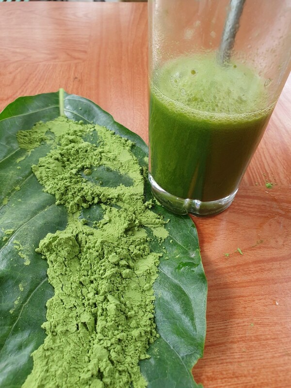 Pennywort powder