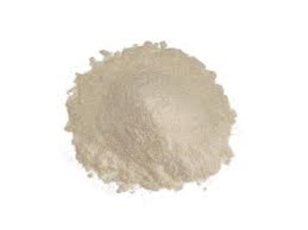 Apple powder