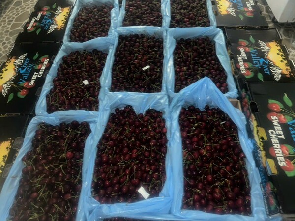 Cherry