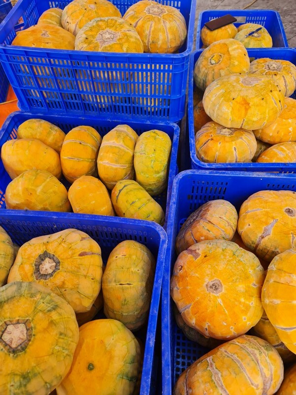 Red pumpkin
