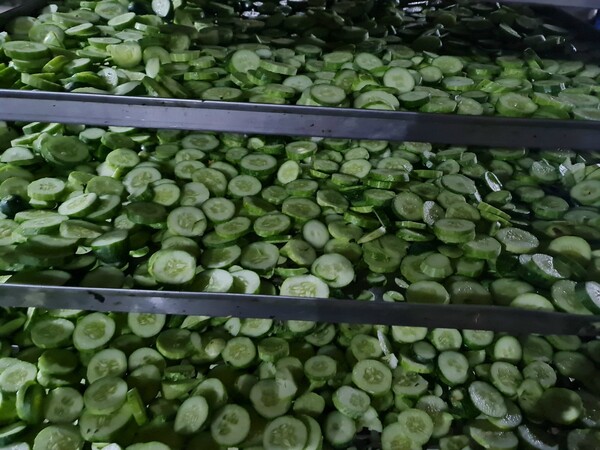 Cucumber