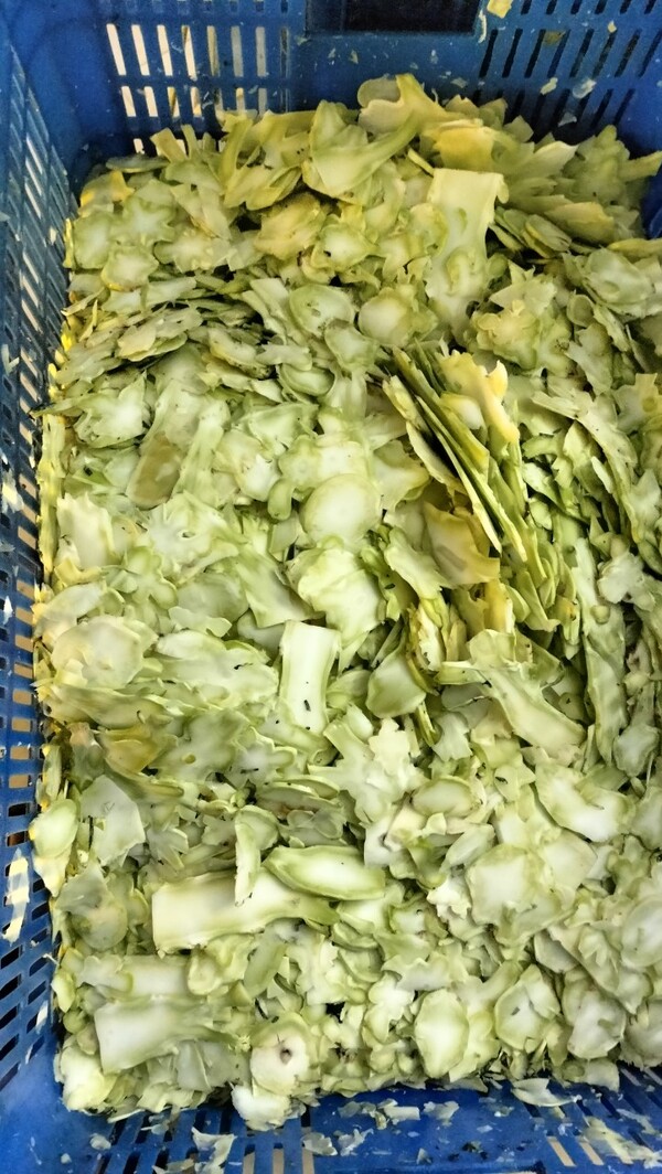 Cauliflower
