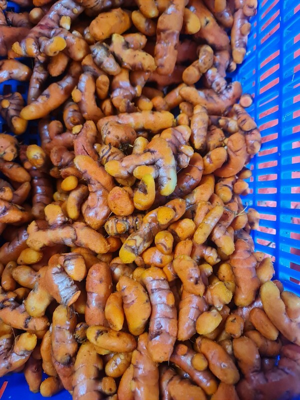 Turmeric powder