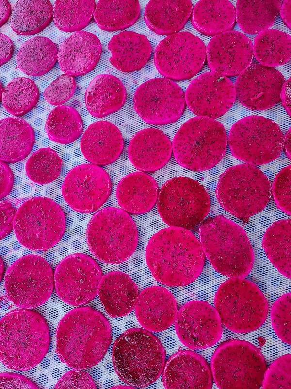 Dried red dragon fruit