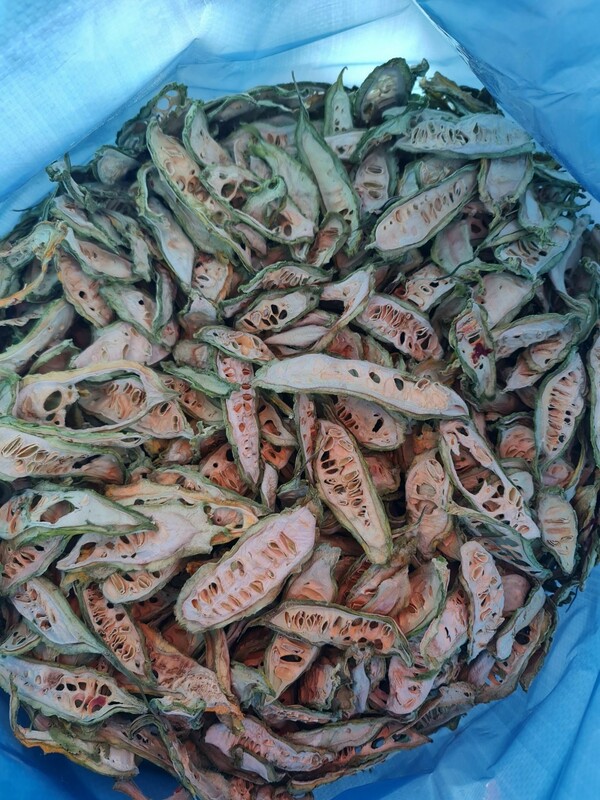 Dried bitter melon
