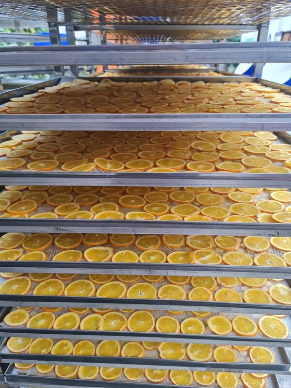 Dried orange