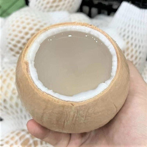 Coconut