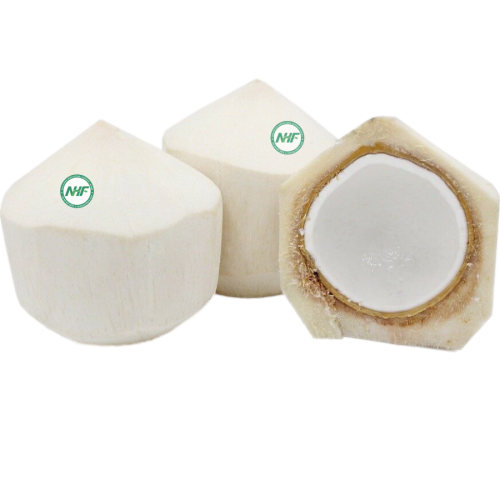 Coconut
