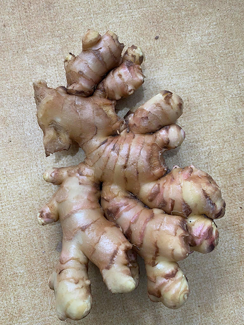 Ginger