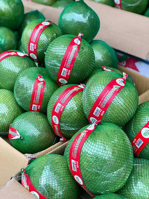 Pomelo