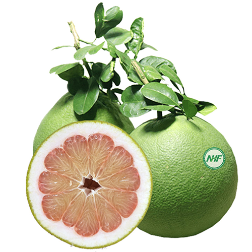 Pomelo