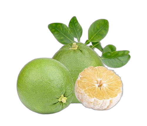 Pomelo